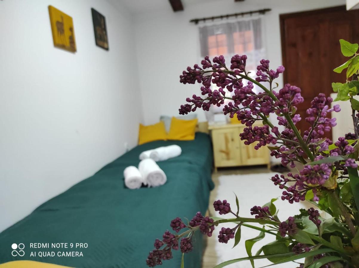 Mitrovic Apartment Boljevac Exterior photo