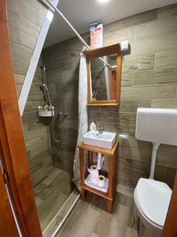 Mitrovic Apartment Boljevac Exterior photo