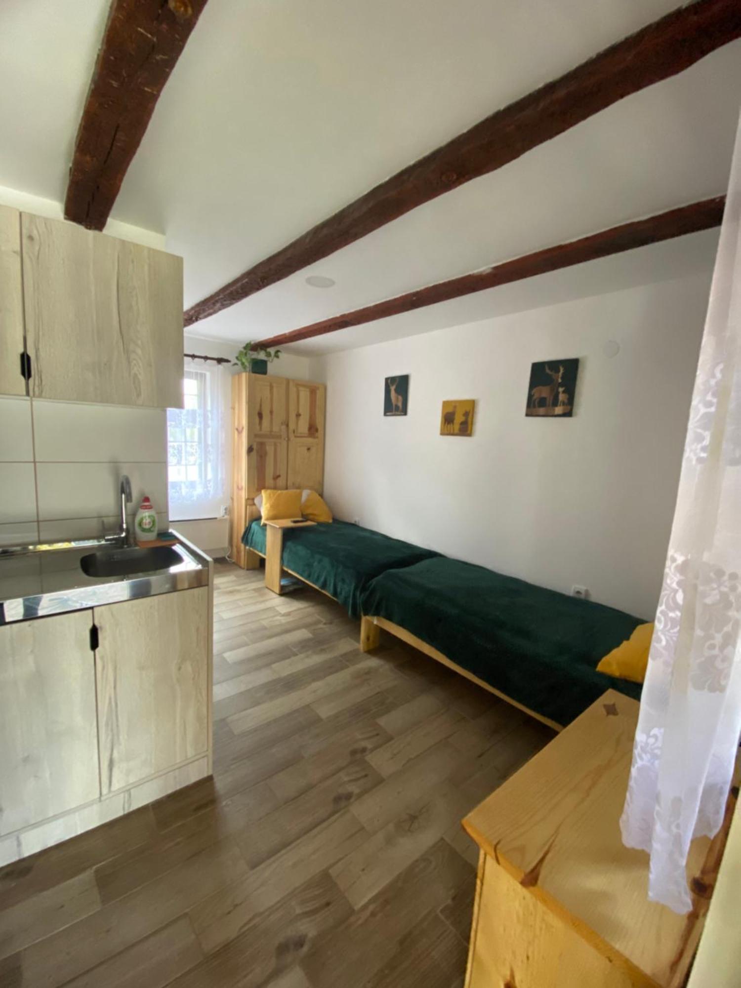 Mitrovic Apartment Boljevac Exterior photo